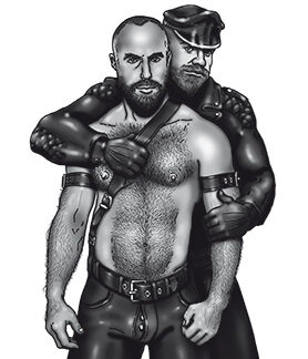 LeatherBears II