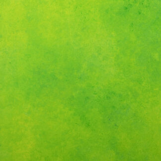 viva la revolución.