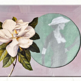 magnolia grandiflora.