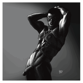 The monochromatic graphic portrait of the muscled guy with Shibari rope on.