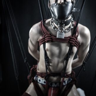 Do you really think I am at my limits? Is that all you can do to me?