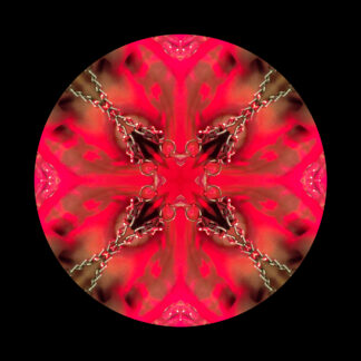 Abstrakte kaleidoskopische Fotografie eines geöffneten Mundes mit Schmuck, symmetrisch gespiegelt. Zeitgenössische Kunst aus der Serie Body Relics von The Bananaverse.