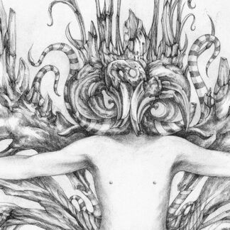 Silent Mantis _ detail