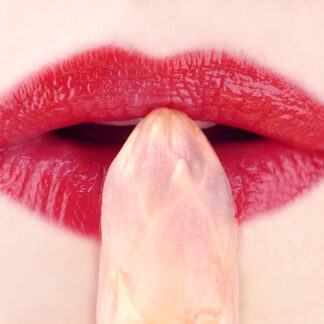 La Bouche | Galerie-Print auf Alu-Dibond hinter Acryl, 70 × 100 cm, künstlerische Fotografie von Diana Post B.A.. Das Bild zeigt einen roten Frauenmund mit einem Spargel – Symbol für Lust, Sinnlichkeit und Selbstbestimmung. Weiblichkeit wird hier als flexibler, selbstbestimmter Zustand dargestellt, zwischen Kontrolle, Verletzlichkeit und Autonomie. Hochwertiger Edition-Print, signiert und nummeriert.