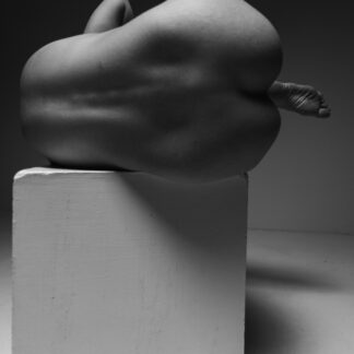 Boundaries of the Body