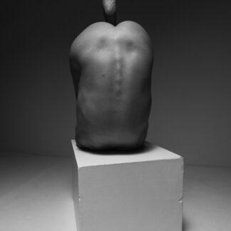 Boundaries of the Body