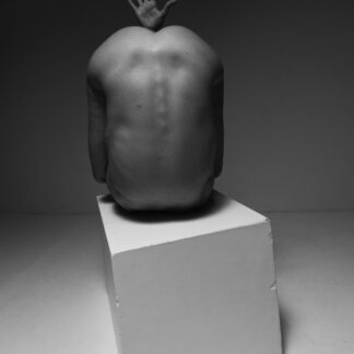 Boundaries of the Body