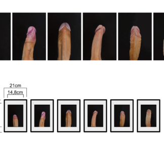 Phallus Archive 001-006